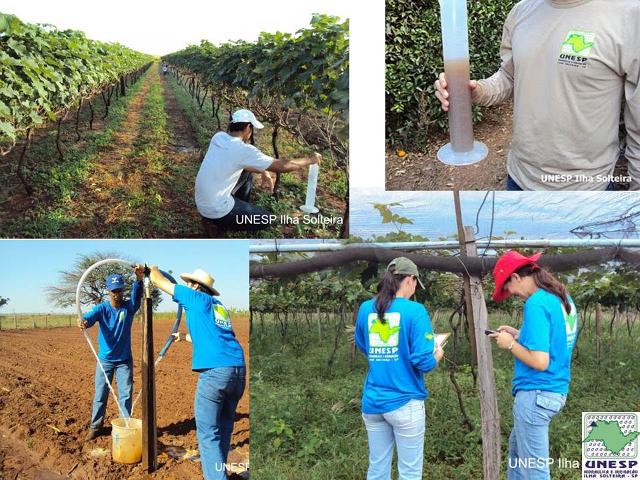 fernandopolis_25abr2012 (99).JPG